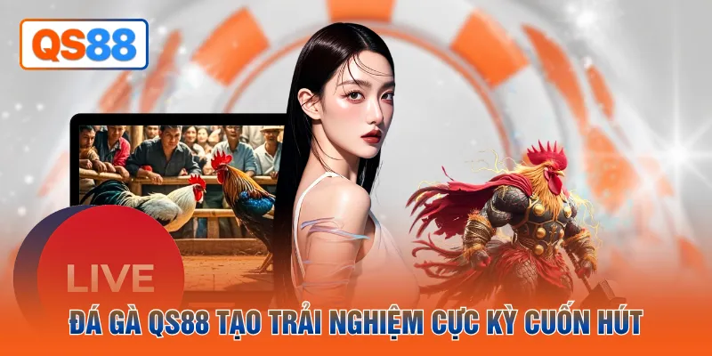 Đá gà QS88 tạo trải nghiệm cực kỳ cuốn hút